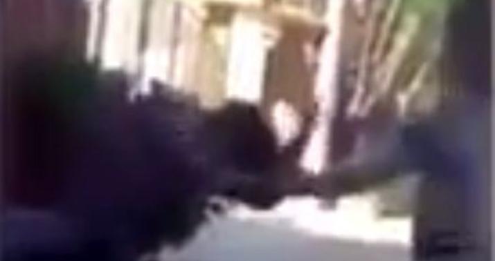 Ərinin məşuqəsini uşağının gözləri önündə döydü - VİDEO/18+